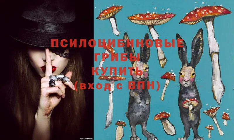 Галлюциногенные грибы Psilocybe  hydra ONION  Мамоново 